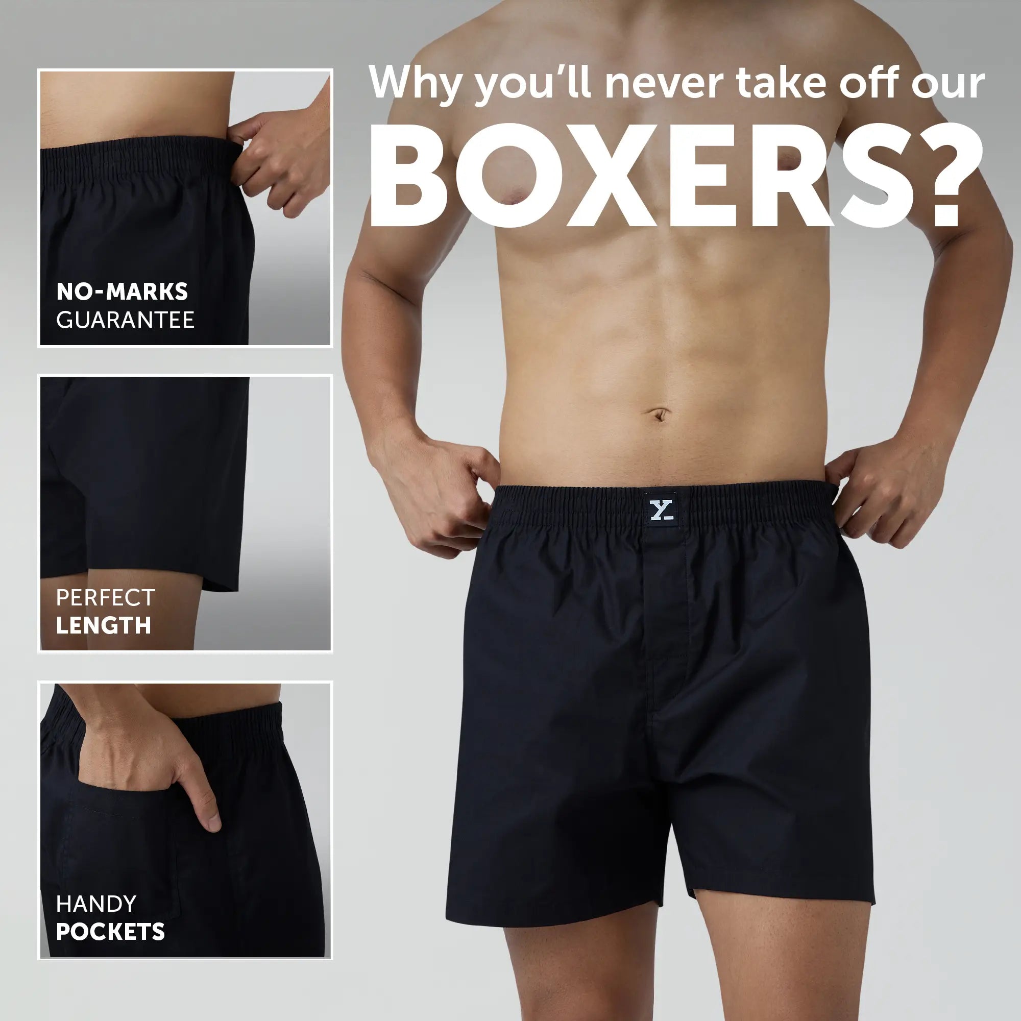 boxer